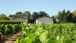 
<span>Château Melin</span>
