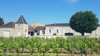 
<span>Château Piconat</span>
