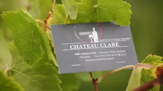 
<span>Château Clare</span>
